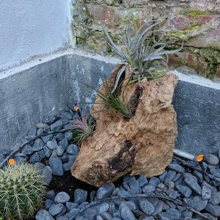 Nyaraló Casa Sarmento -